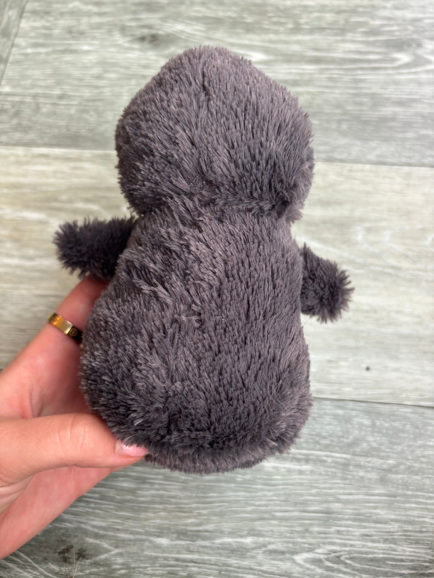 Penguin teddy size small jelly cat inspired