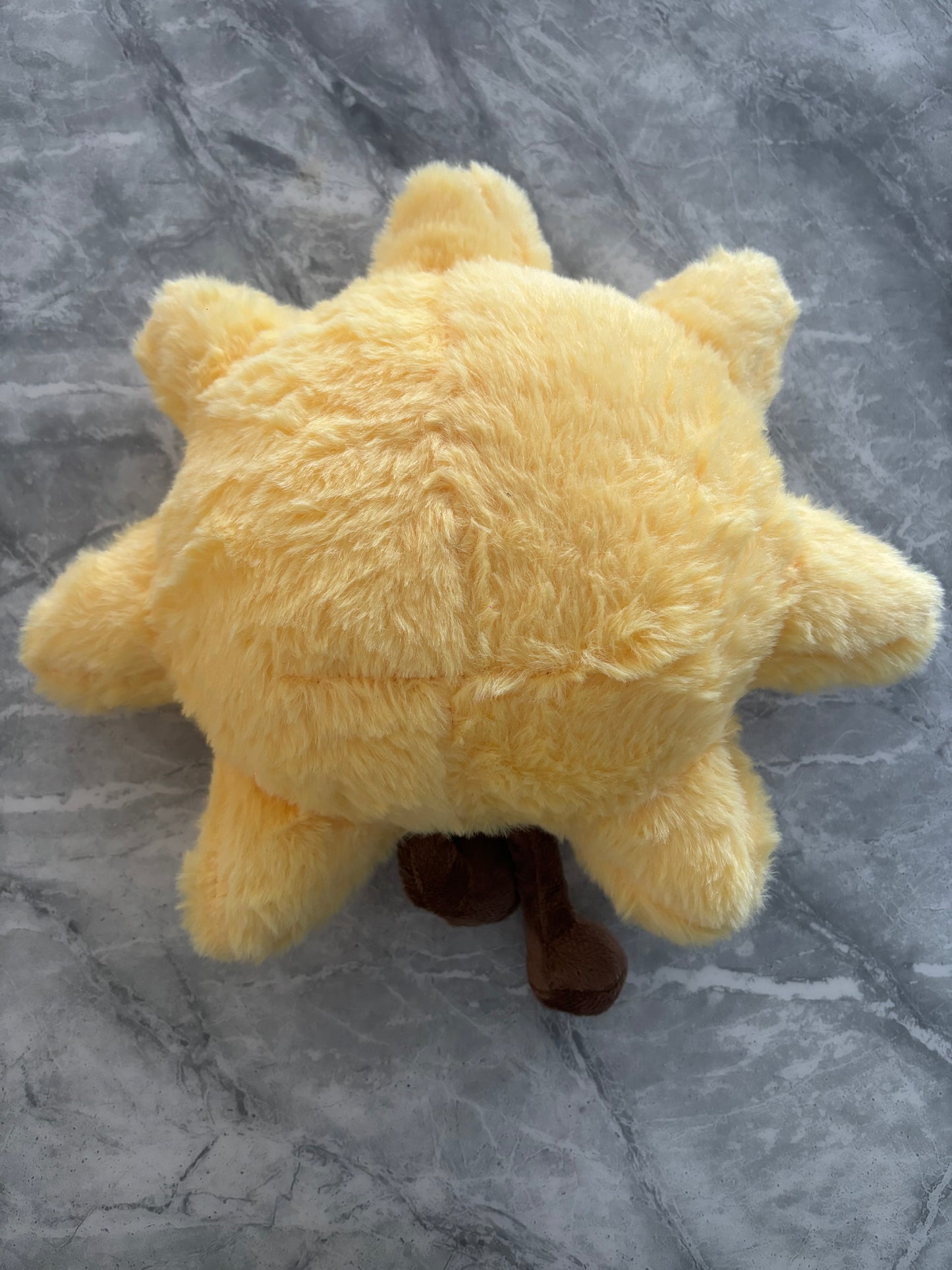 Sunshine teddy jelly cat inspired