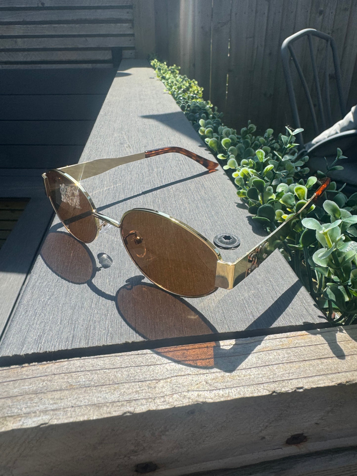 C Leopard Sunglasses